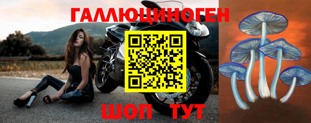 Димитровград  Галлюциногенные грибы мицелий  Вход с VPN 