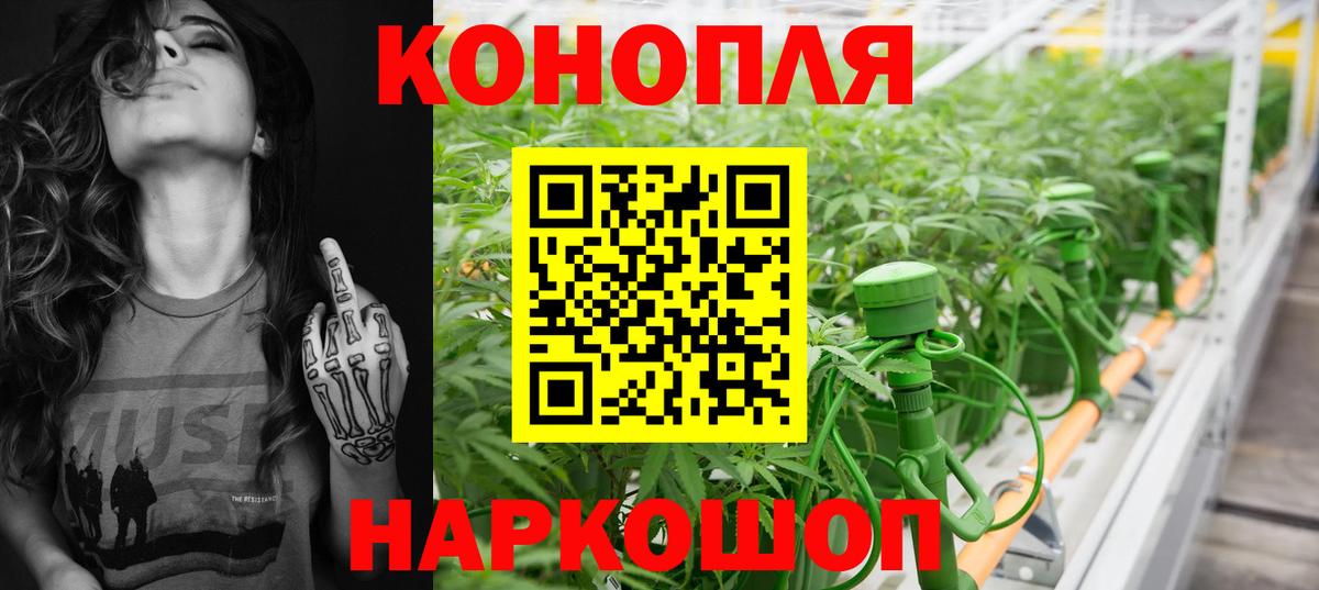 Канабис White Widow Димитровград